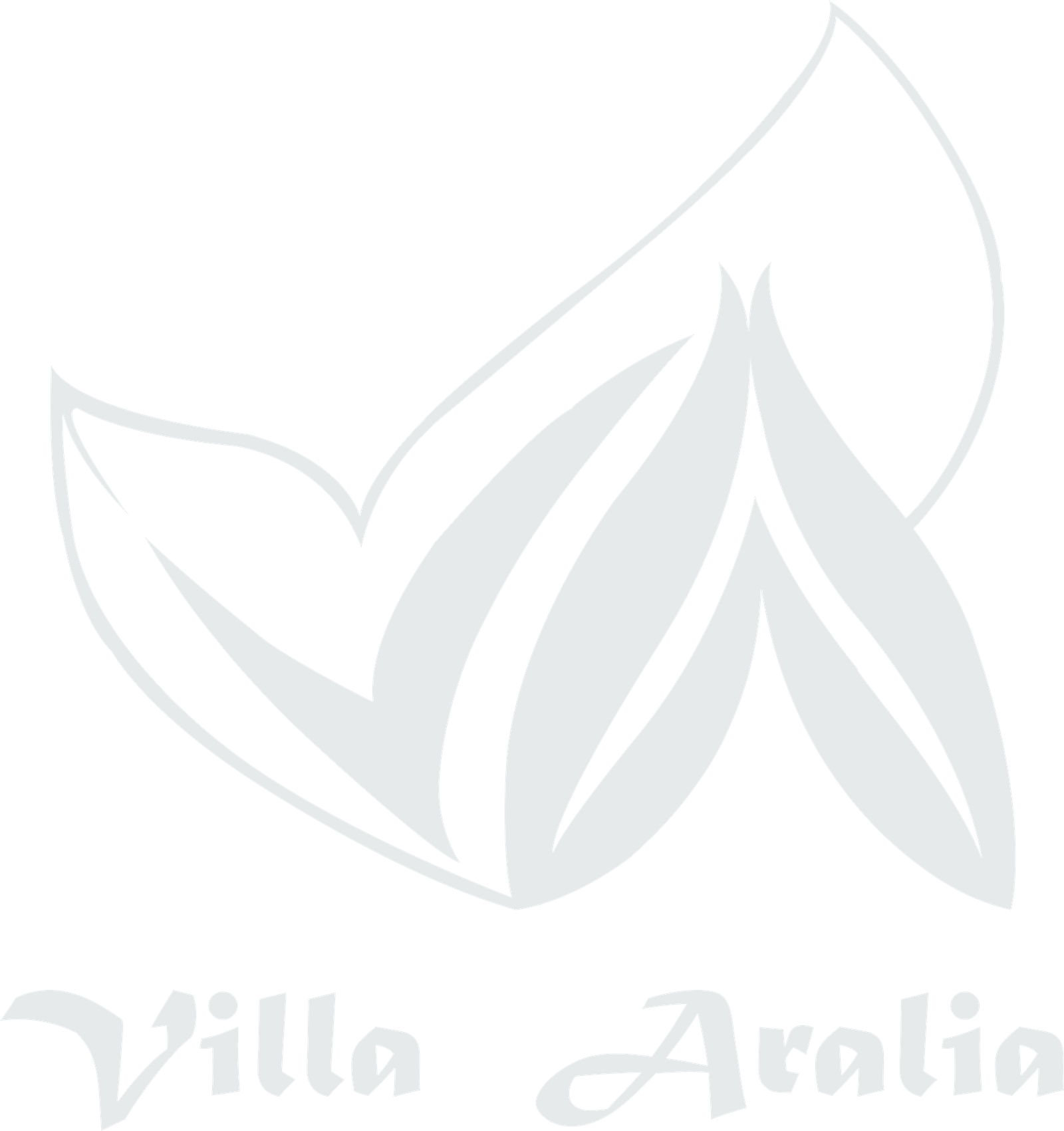 Hotel Villa Aralia